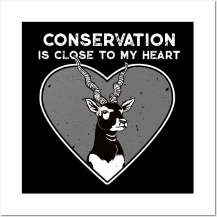 Blackbuck Conservation Heart Posters and Art